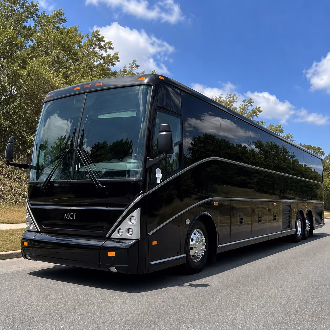 livonia wedding transportation